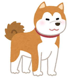 秋田犬の画像
